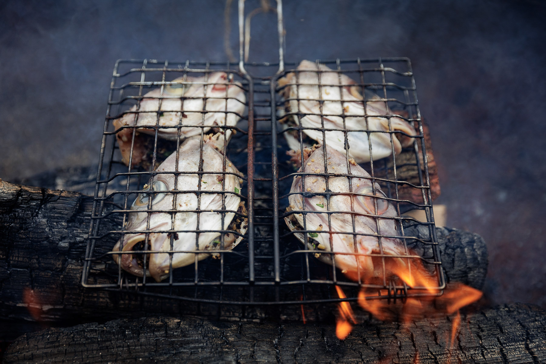 untitled (154 of 188)