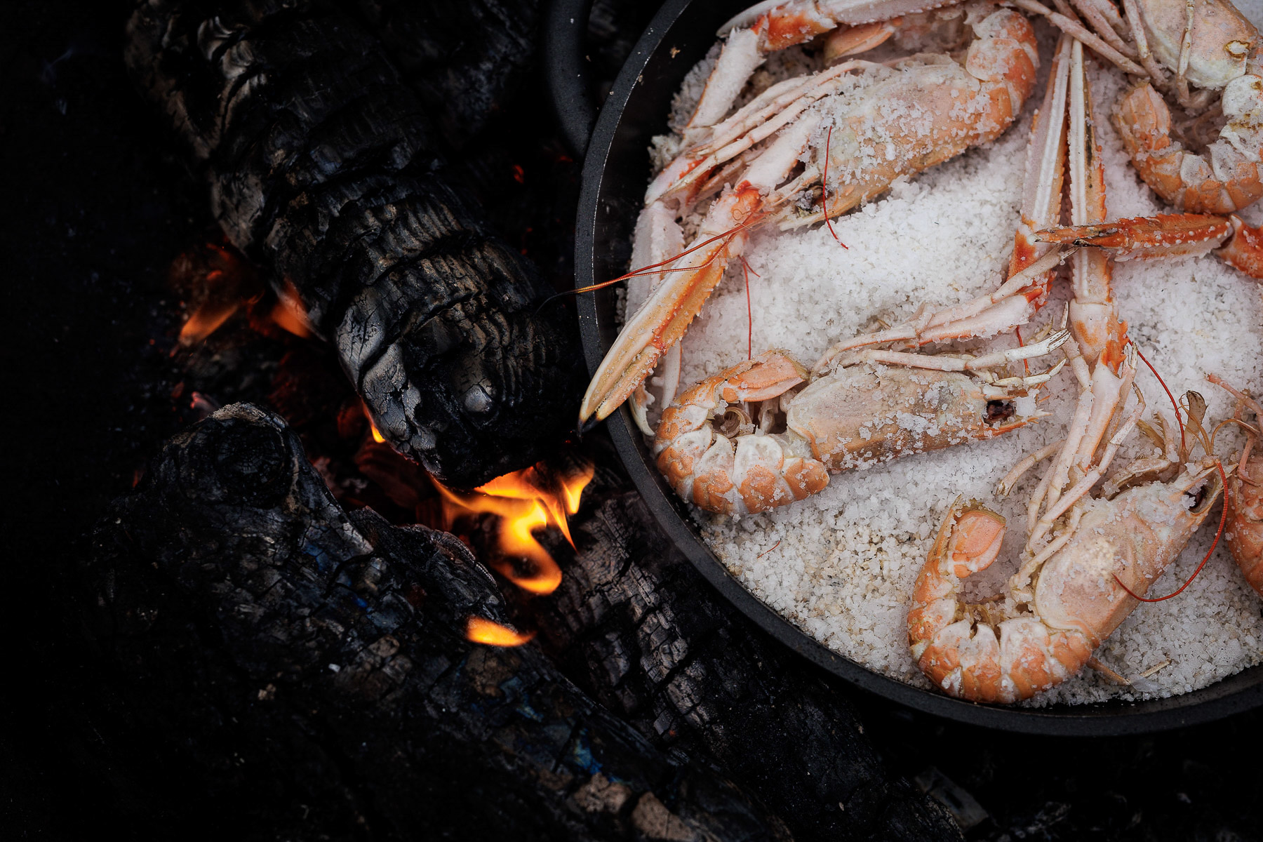 untitled (158 of 188)