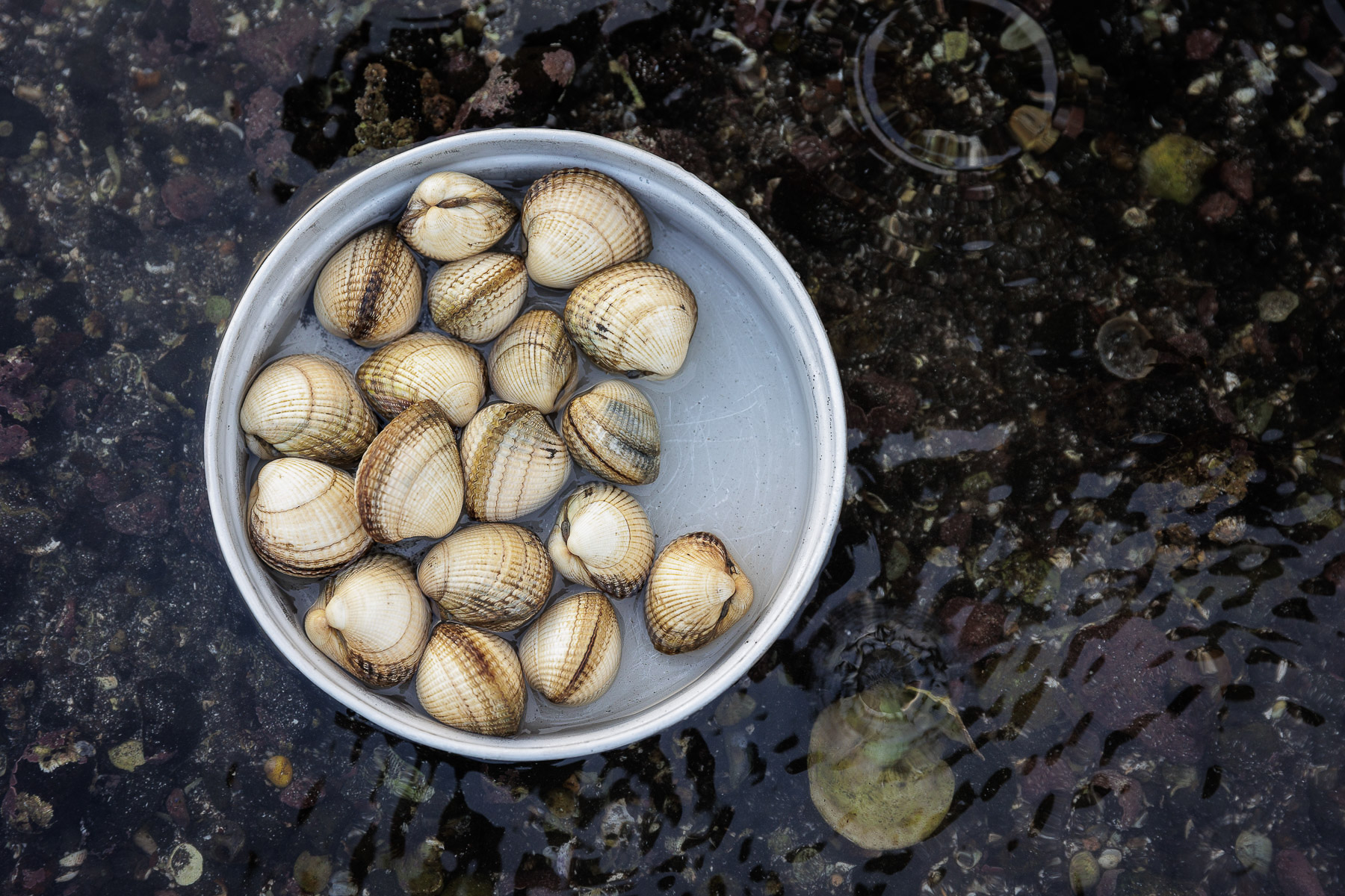 untitled (168 of 188)